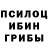 Псилоцибиновые грибы Cubensis Svet _