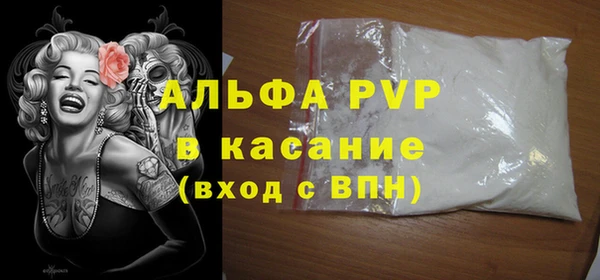 шишки Надым