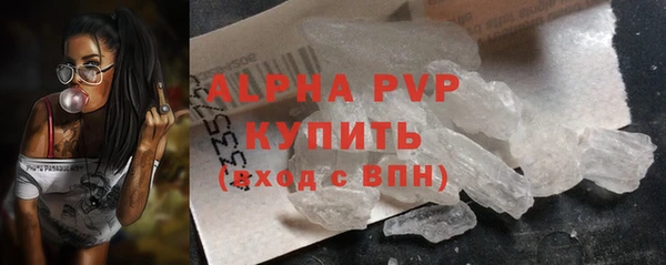 шишки Надым