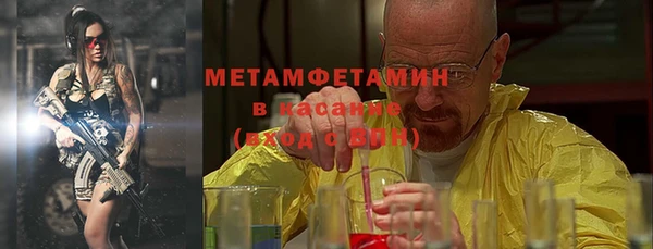 шишки Надым