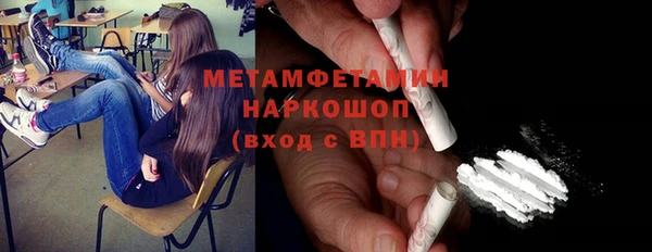 шишки Надым