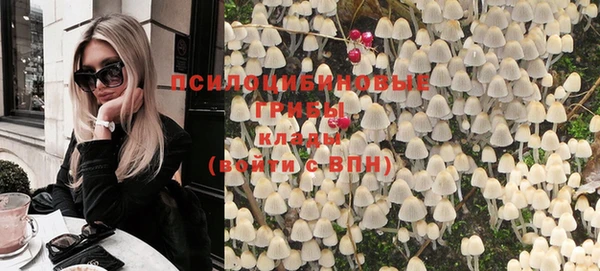 ПСИЛОЦИБИНОВЫЕ ГРИБЫ Абинск