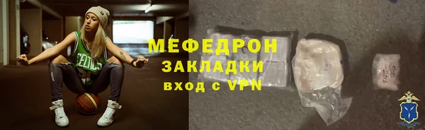 шишки Надым