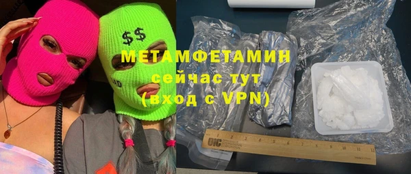шишки Надым
