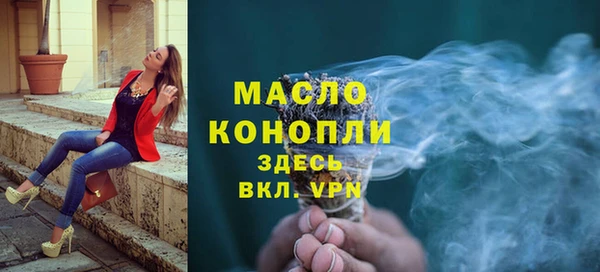 шишки Надым