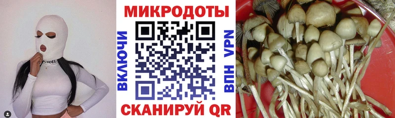 Галлюциногенные грибы ЛСД Туран