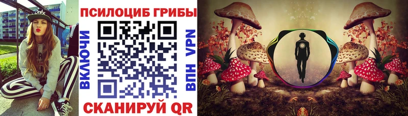 mega ссылки где найти наркотики Туран Псилоцибиновые грибы ЛСД